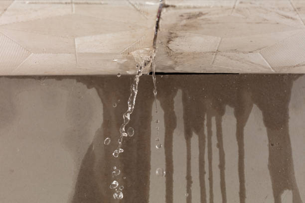 Professional Water Extraction technician working in Hayfield, VA